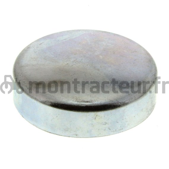 PASTILLE DE SABLAGE ACIER - 36.00 MM