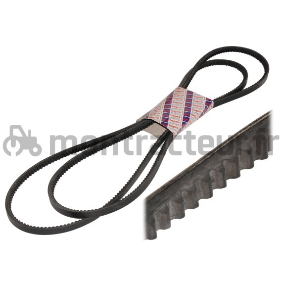 PAIRE DE COURROIES TRAPÉZOÏDALE 13 X 1470 LA