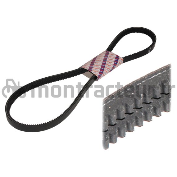 COURROIE TRAPÉZOÏDALE DOUBLE 10 X 1450 LA