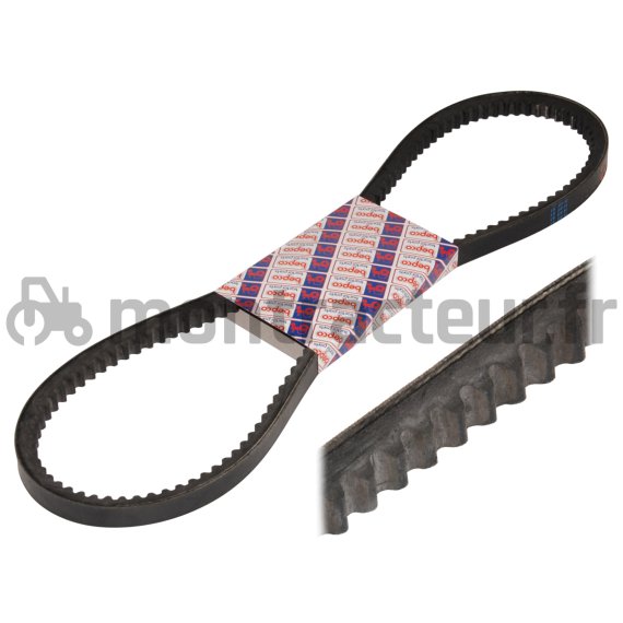 PAIRE DE COURROIES TRAPÉZOÏDALE 10 X 1185 LA