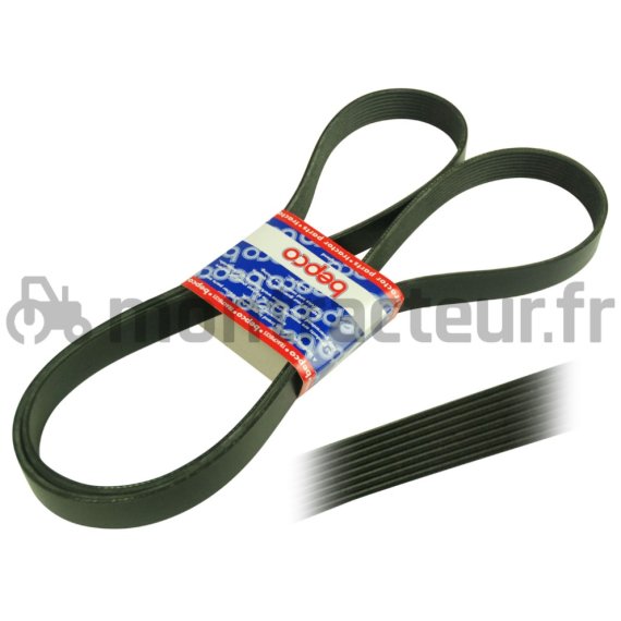 COURROIE PLATE 8 PK X 2542