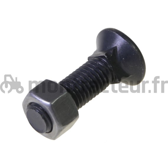 BOULON TFCC - 12.9 Ø 12 X 80 (BLISTER 25 PIÈCES)