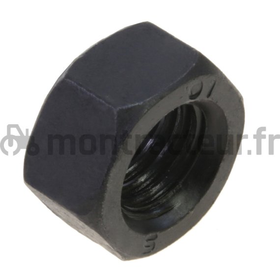 ÉCROU BRUT 10.9 - DIN 934 M20 (BOÎTE 25 PIÈCES)