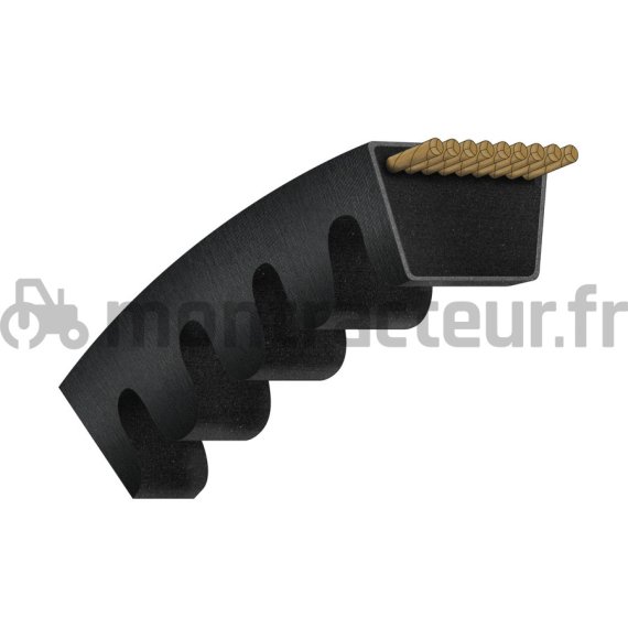 COURROIE TRAPÉZOÏDALE CRANTÉE AVX13 - 1250 LA