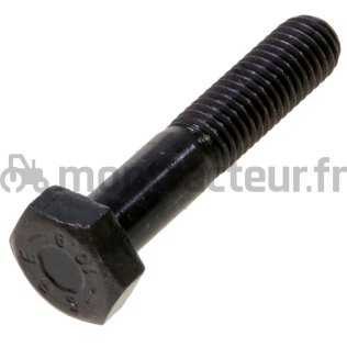 VIS TH BRUT 10.9 - DIN 931 M12X70 MM (BLISTER 50 PIÈCES)